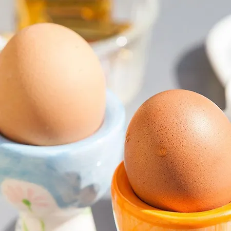 بيت ضيافة 1841